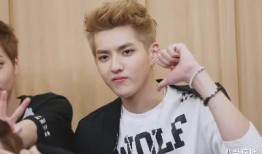 娱乐圈吃瓜王安宇,娱乐圈吃瓜王，揭秘明星幕后故事